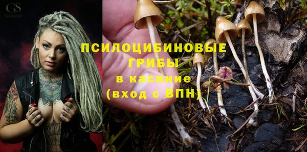 скорость Богданович