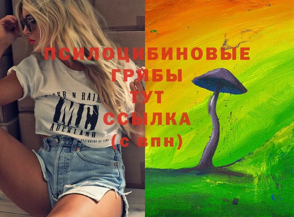 тгк Богородицк