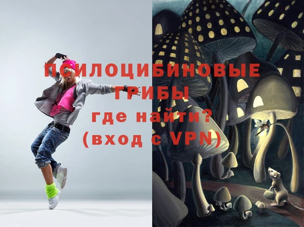 тгк Богородицк