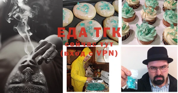 тгк Богородицк