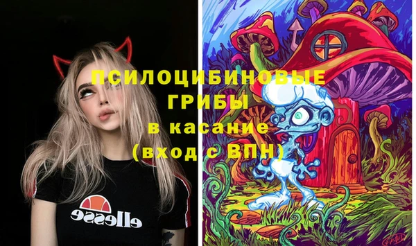 тгк Богородицк