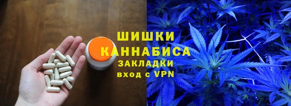 тгк Богородицк