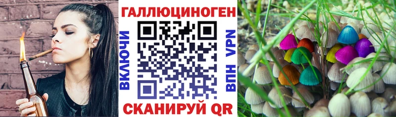 Галлюциногенные грибы прущие грибы  Шахты 
